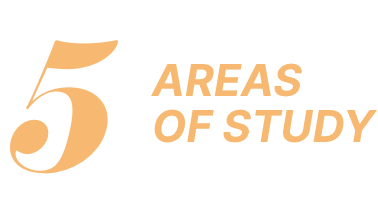 5 Areas of Study
